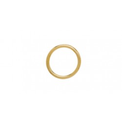 Anilla oval dorada