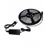 Tira LED Adhesiva de 14,4 w 6.000K Luz Blanca, 12V Engomada, Kit - 5 metros